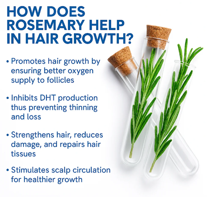 GrowMuse Roll-on Serum